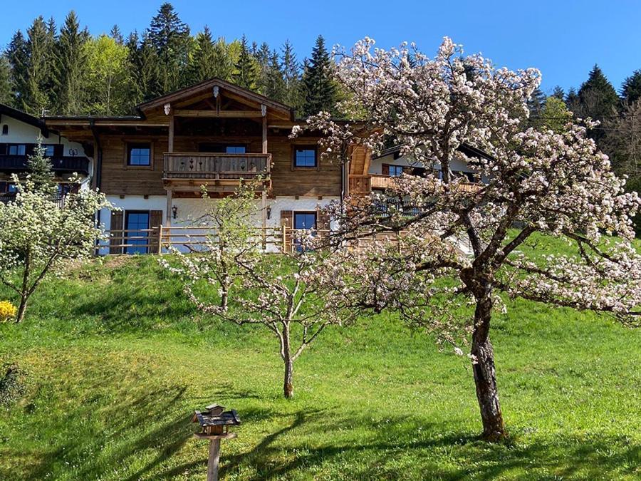 Ferienhaus Berggfui 贝希特斯加登 外观 照片